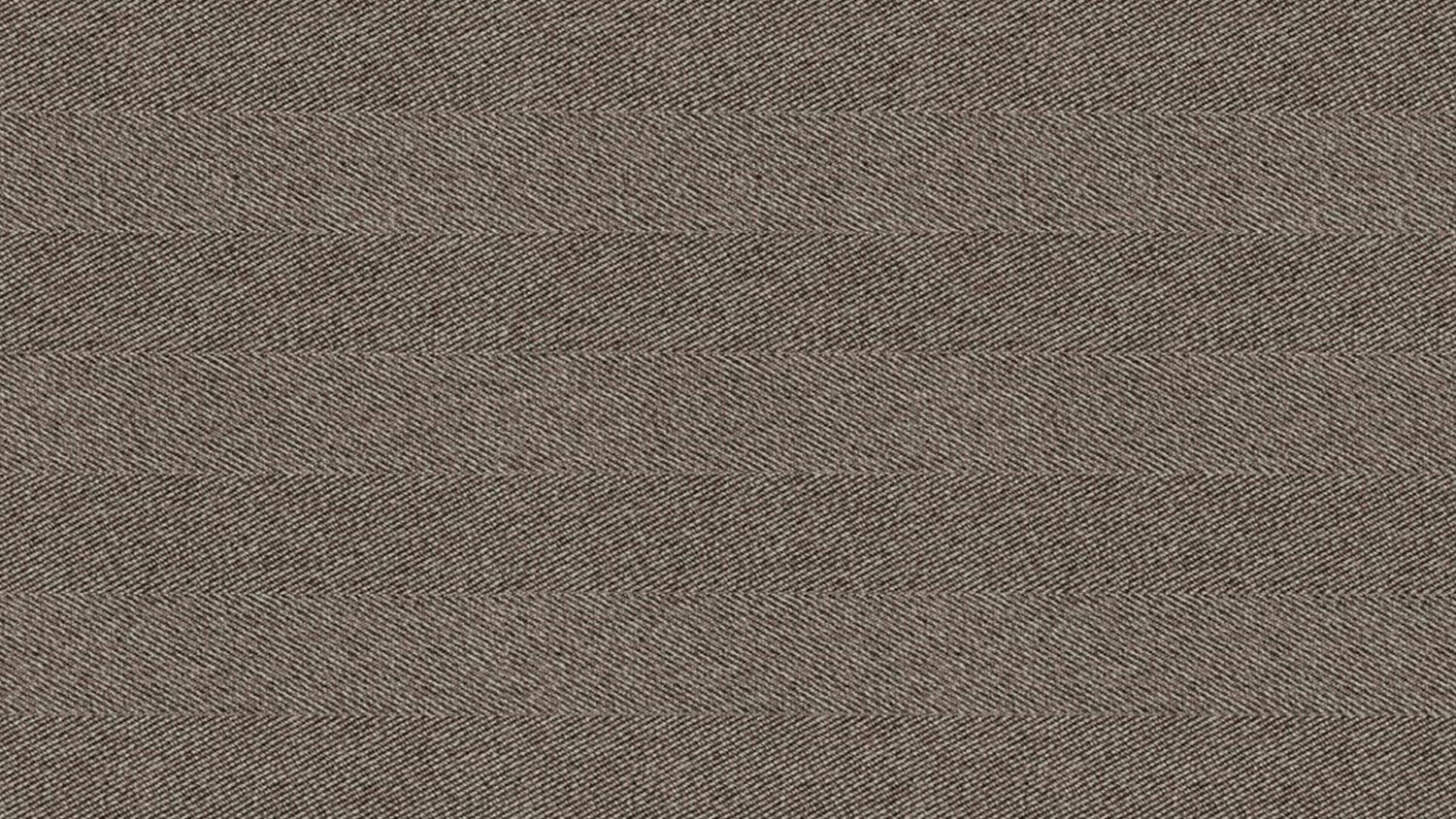 pecora nera 0000026740