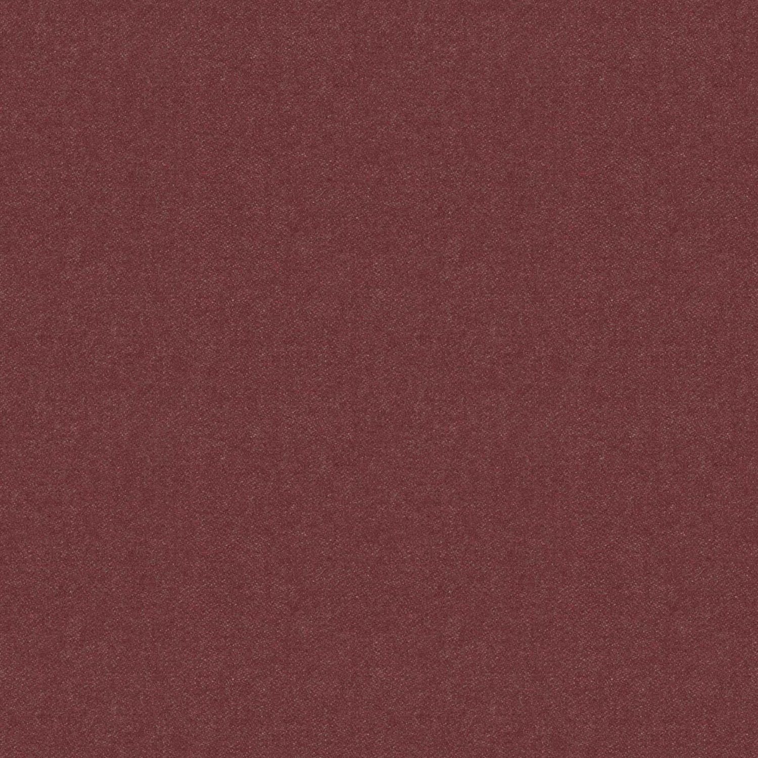 GIANO | A CATEGORY 9 DARK