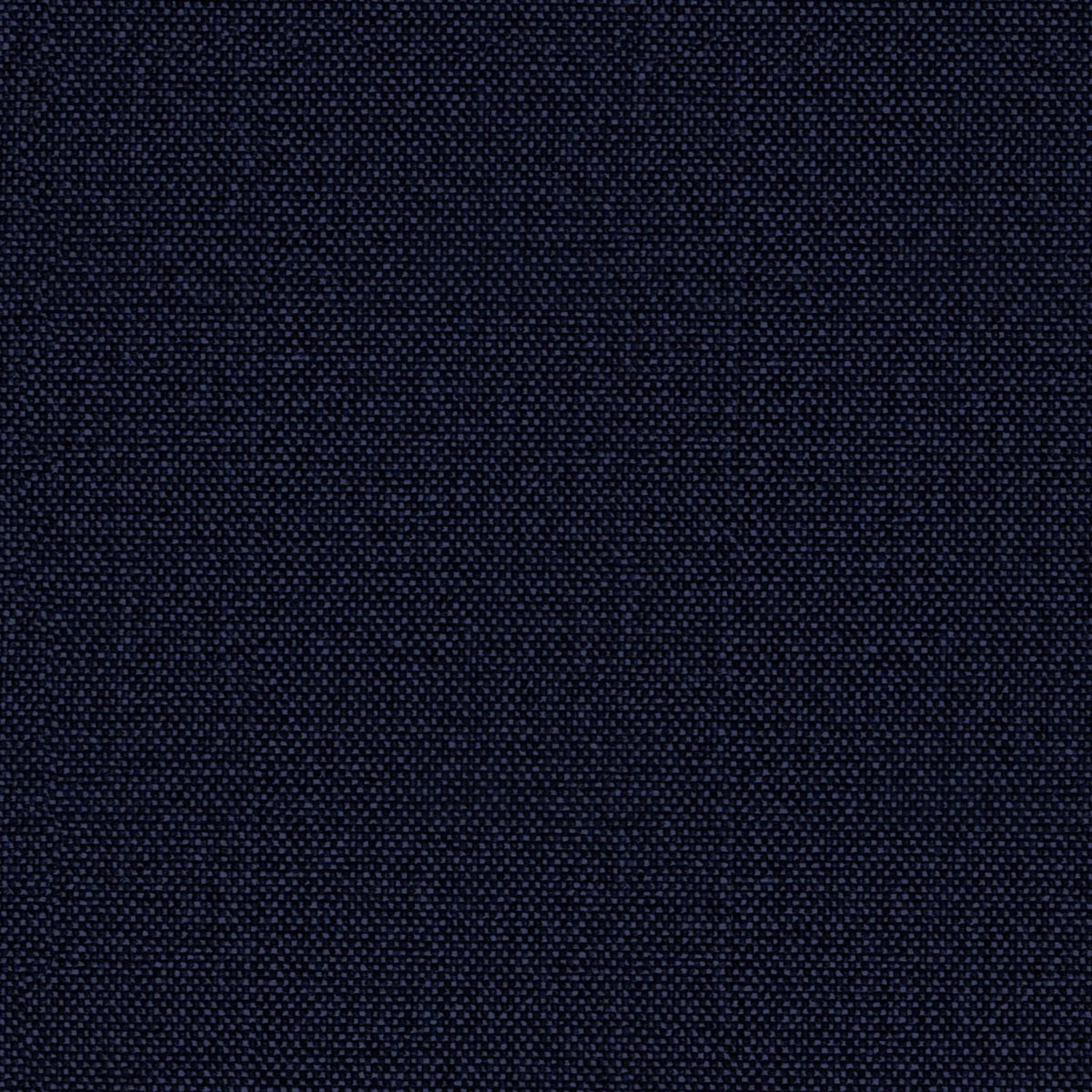 SHINE | CATEGORY B BLACK IRIS