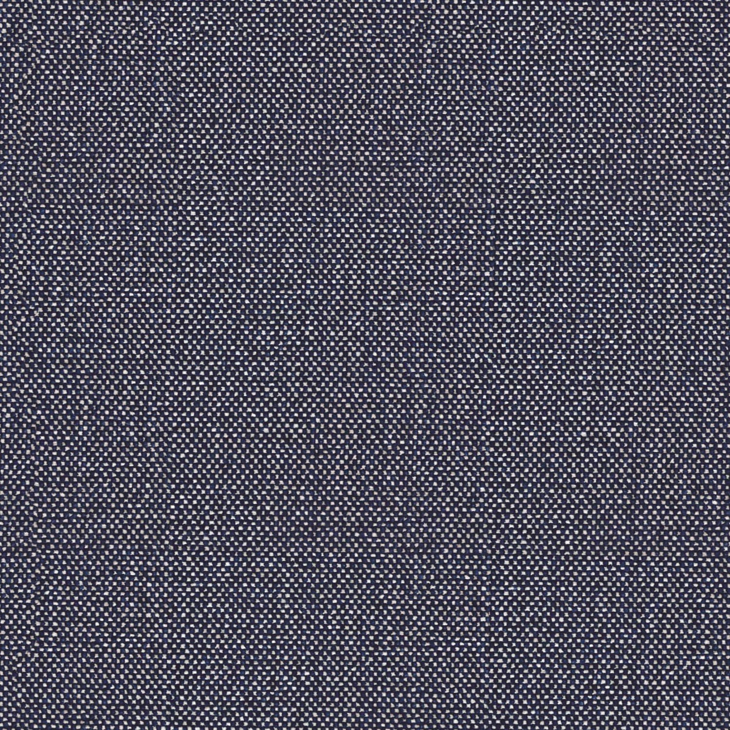 SHINE | CATEGORY B STARRY BLUE