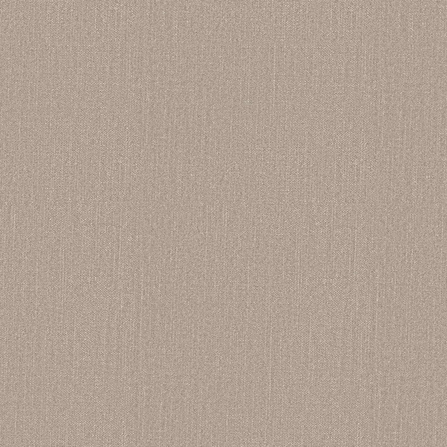 SMOOTH | CATEGORY C 206 OYSTER