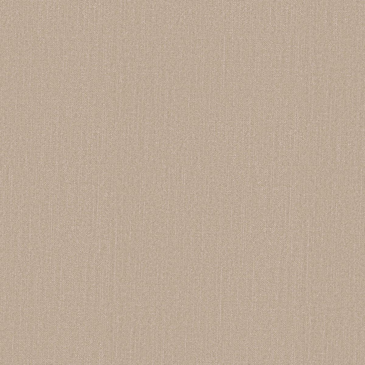 SMOOTH | CATEGORY C 8 SESAME