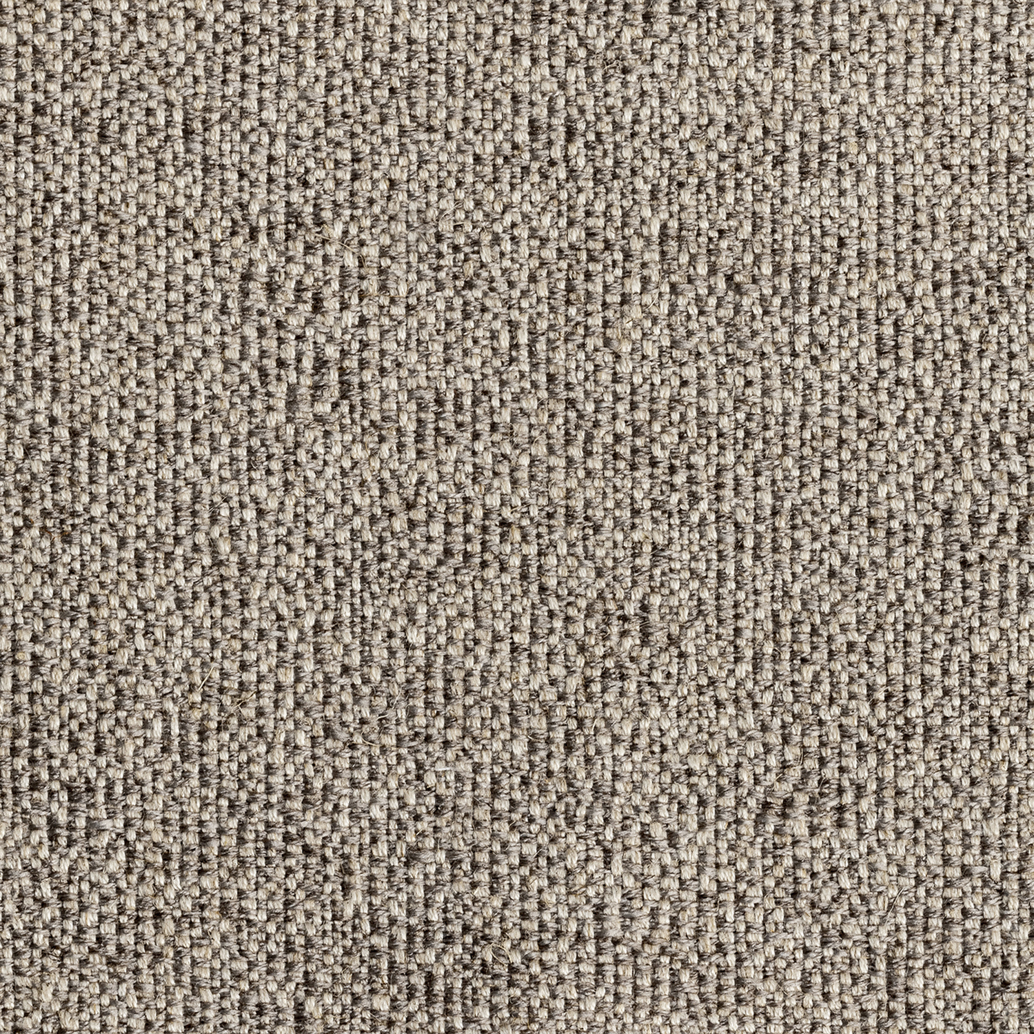 SOPHORA | B CATEGORY FUMO