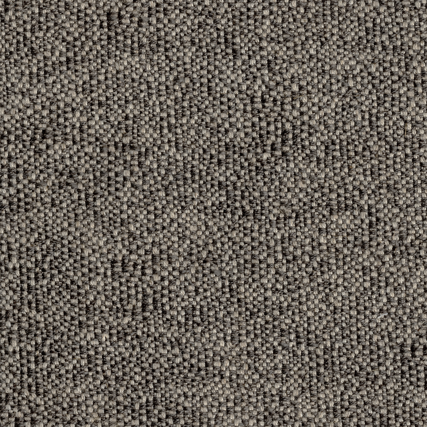 SOPHORA | B CATEGORY GRIGIO SCURO