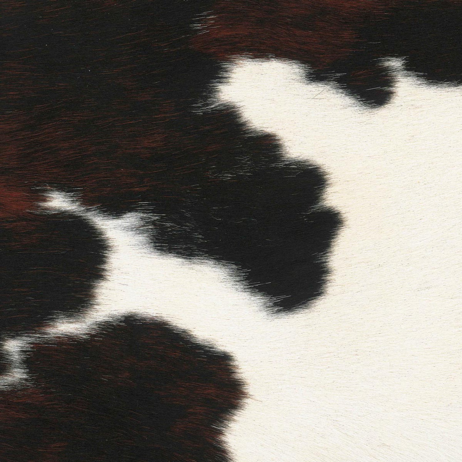 0000002950 0000002950