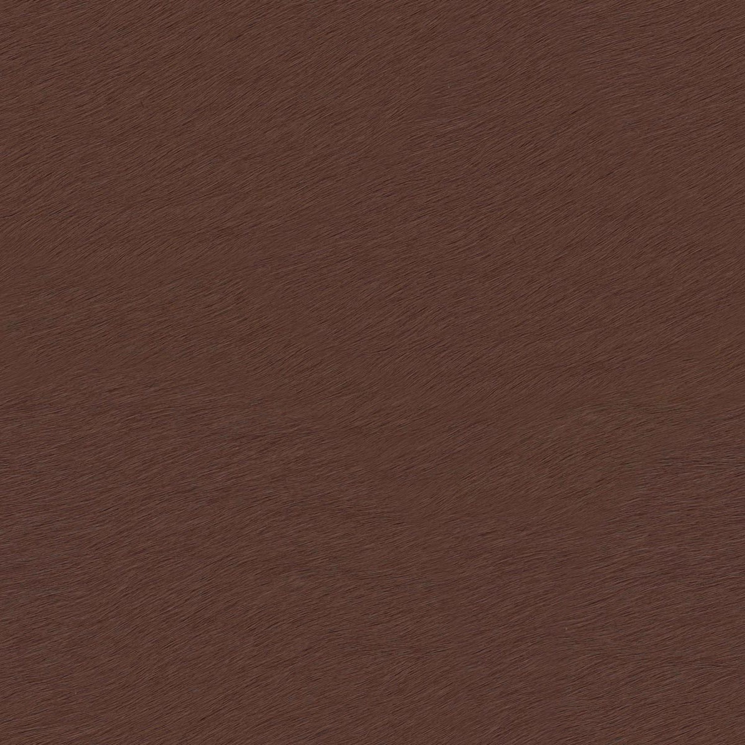 PELLE FRAU®CAVALLINO CASTANO