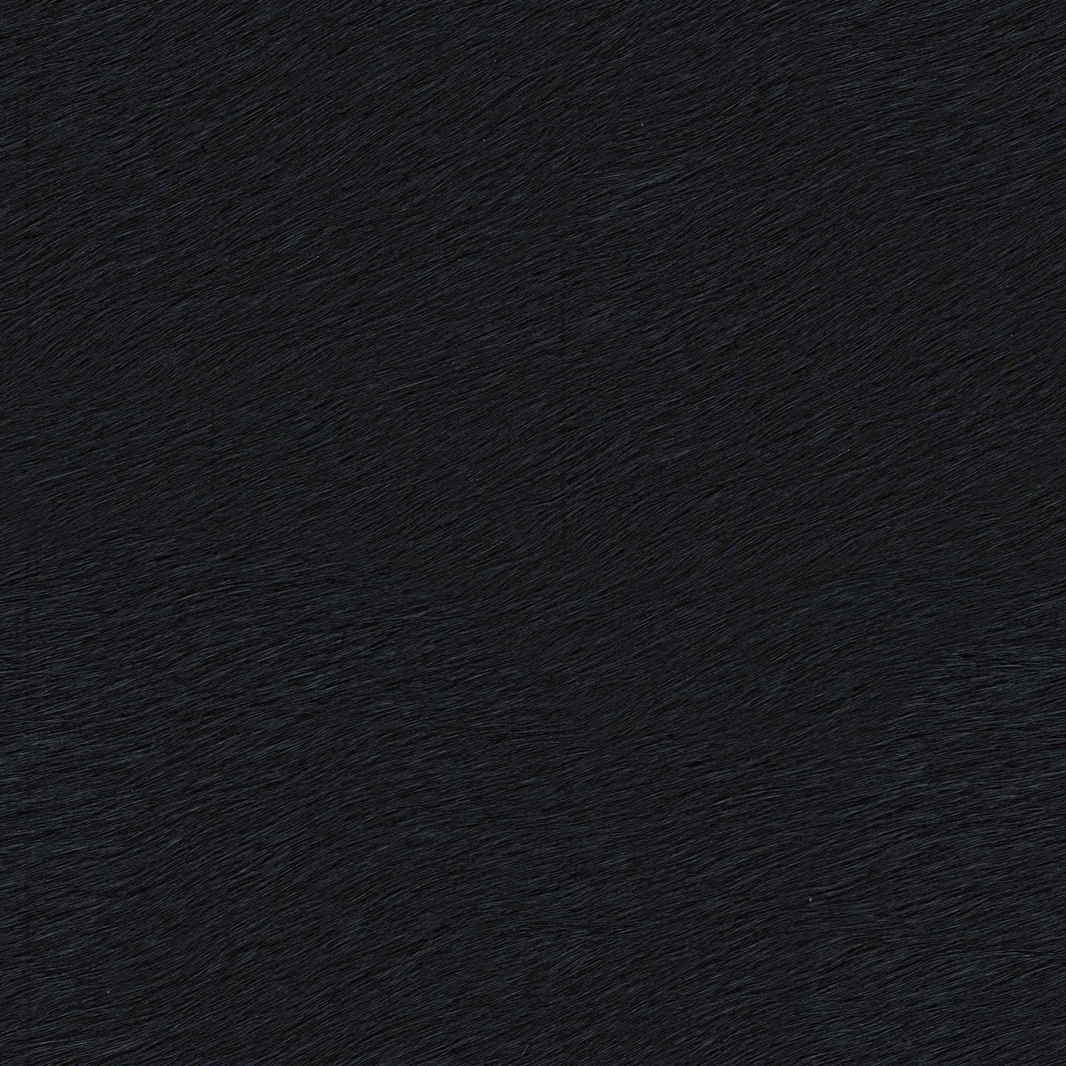 PELLE FRAU®CAVALLINO FULL BLACK