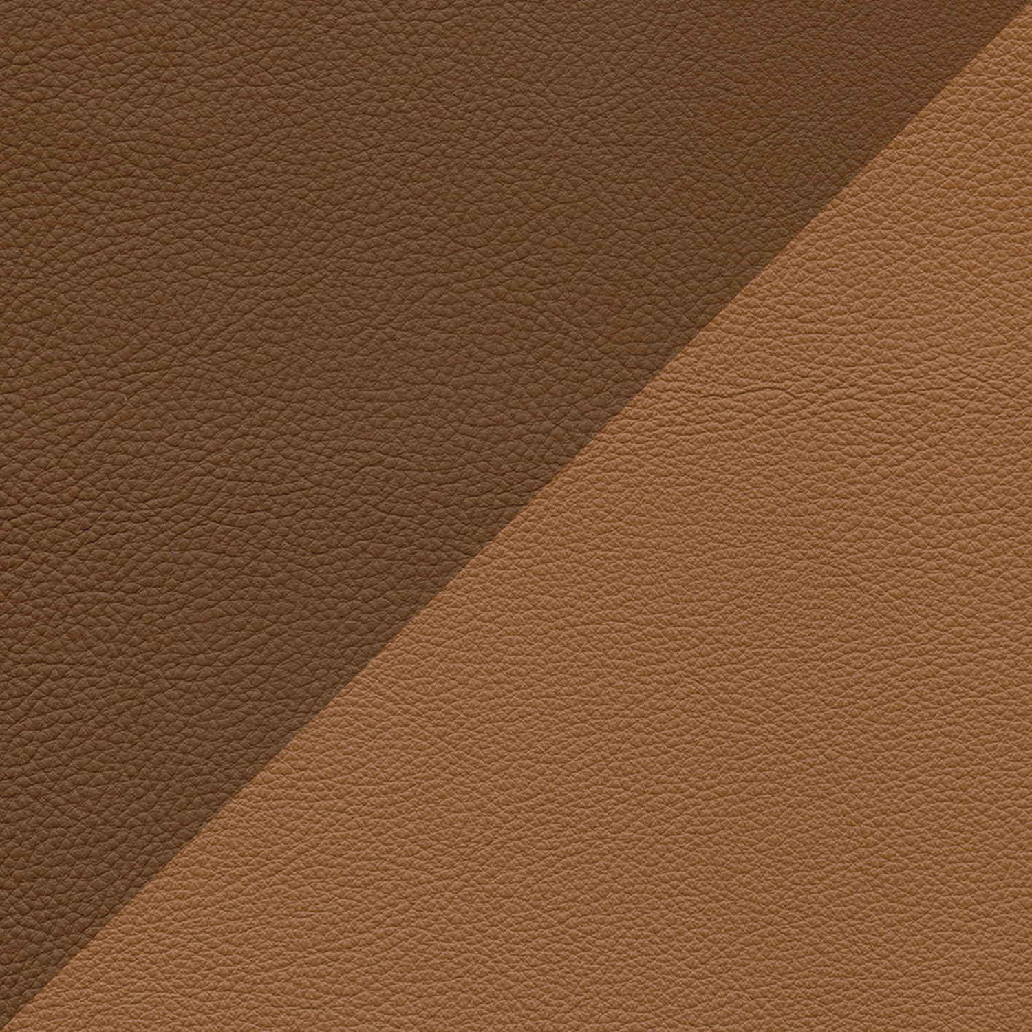 sc 66 india sc 67 chiodi garofano