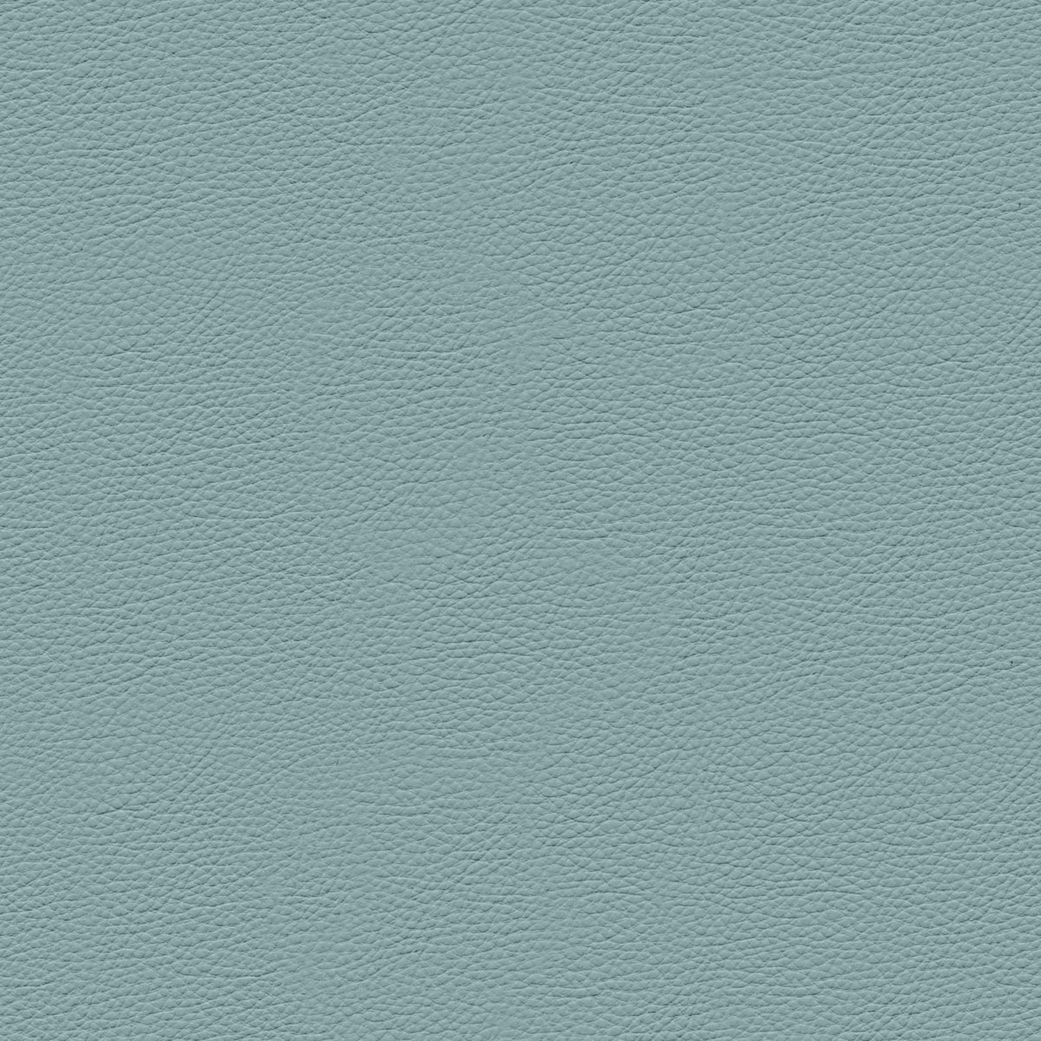 PELLE FRAU® NEST CALCEDONIO