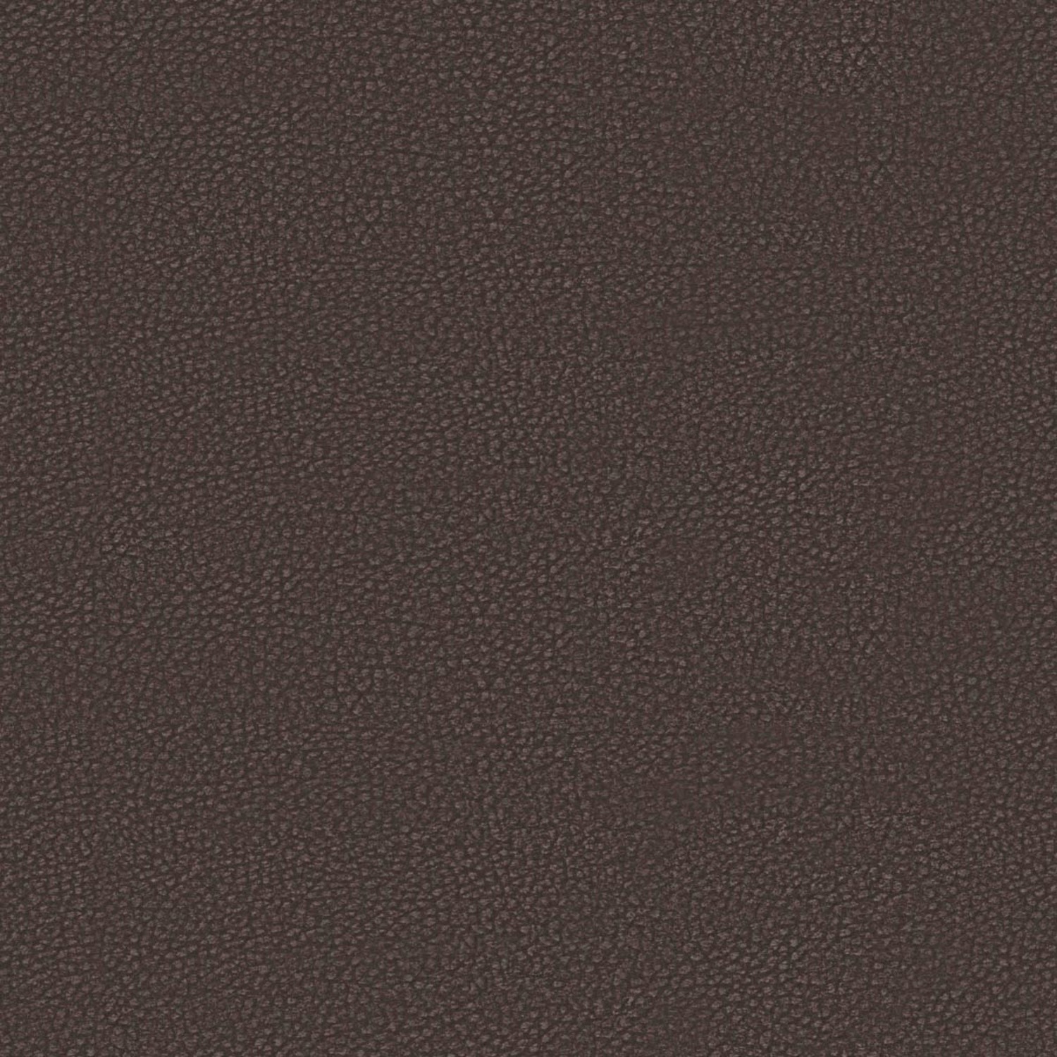 PELLE FRAU® SAFARI BAOBAB