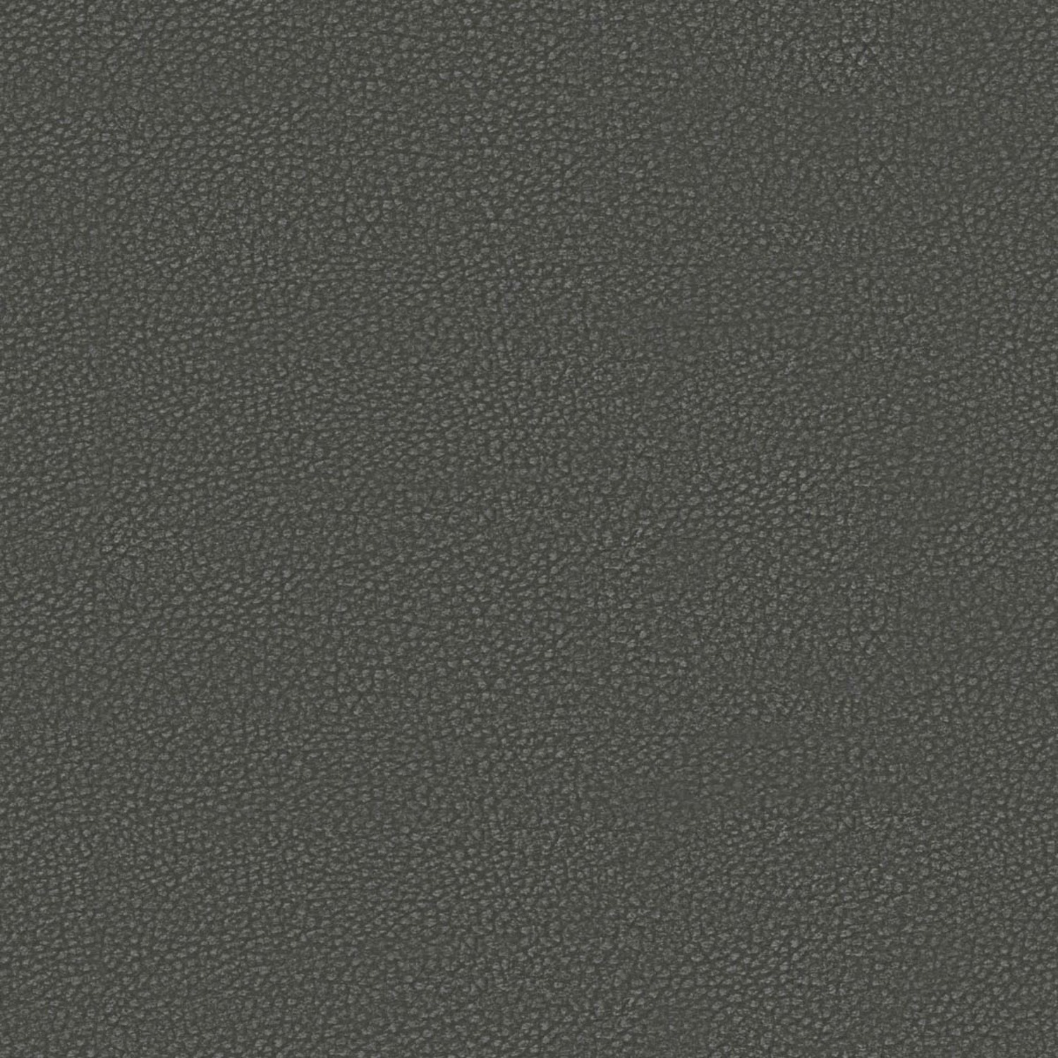 PELLE FRAU® SAFARI RHINO