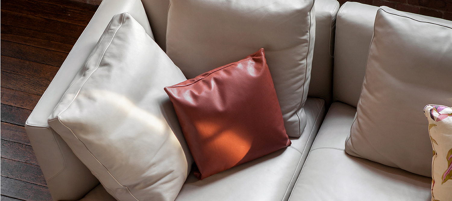cushion v1 cushion v1