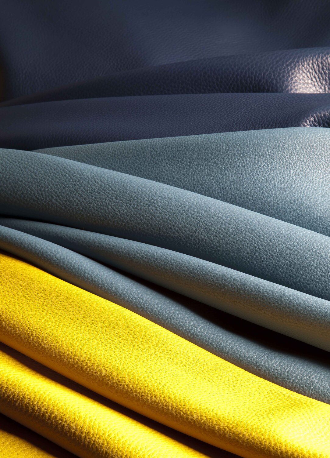 03 collage la pelle 03 collage la pelle