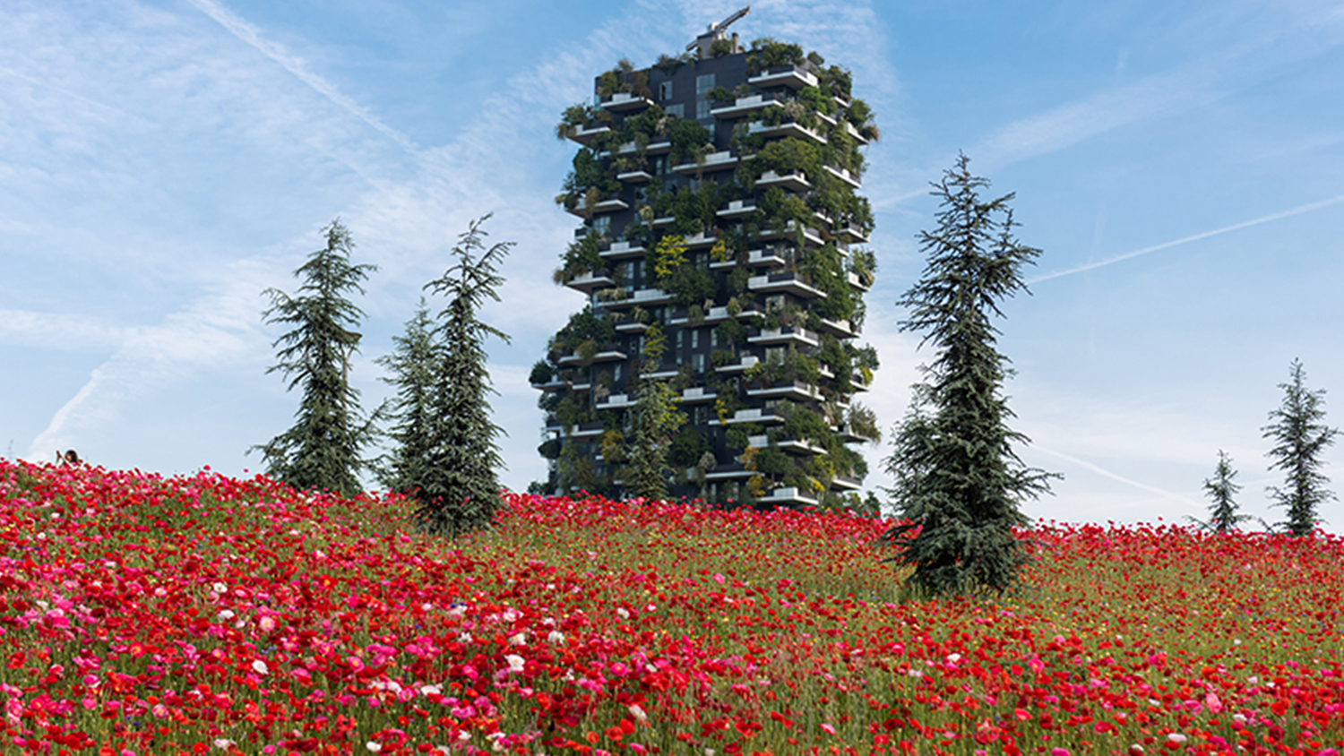 04 bam open air design 04 bam open air design