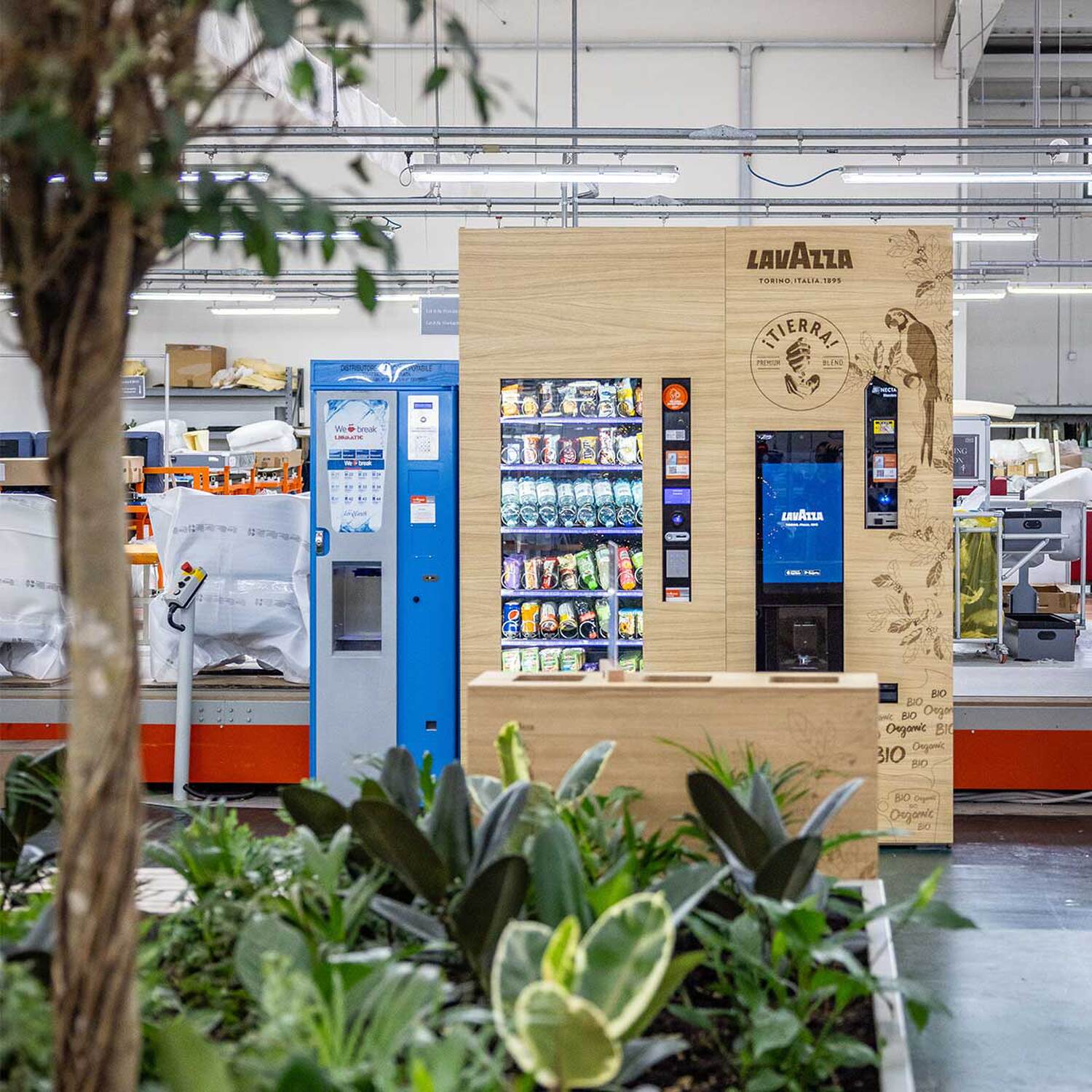 preview oasi itierra lavazza 2023 preview oasi itierra lavazza 2023