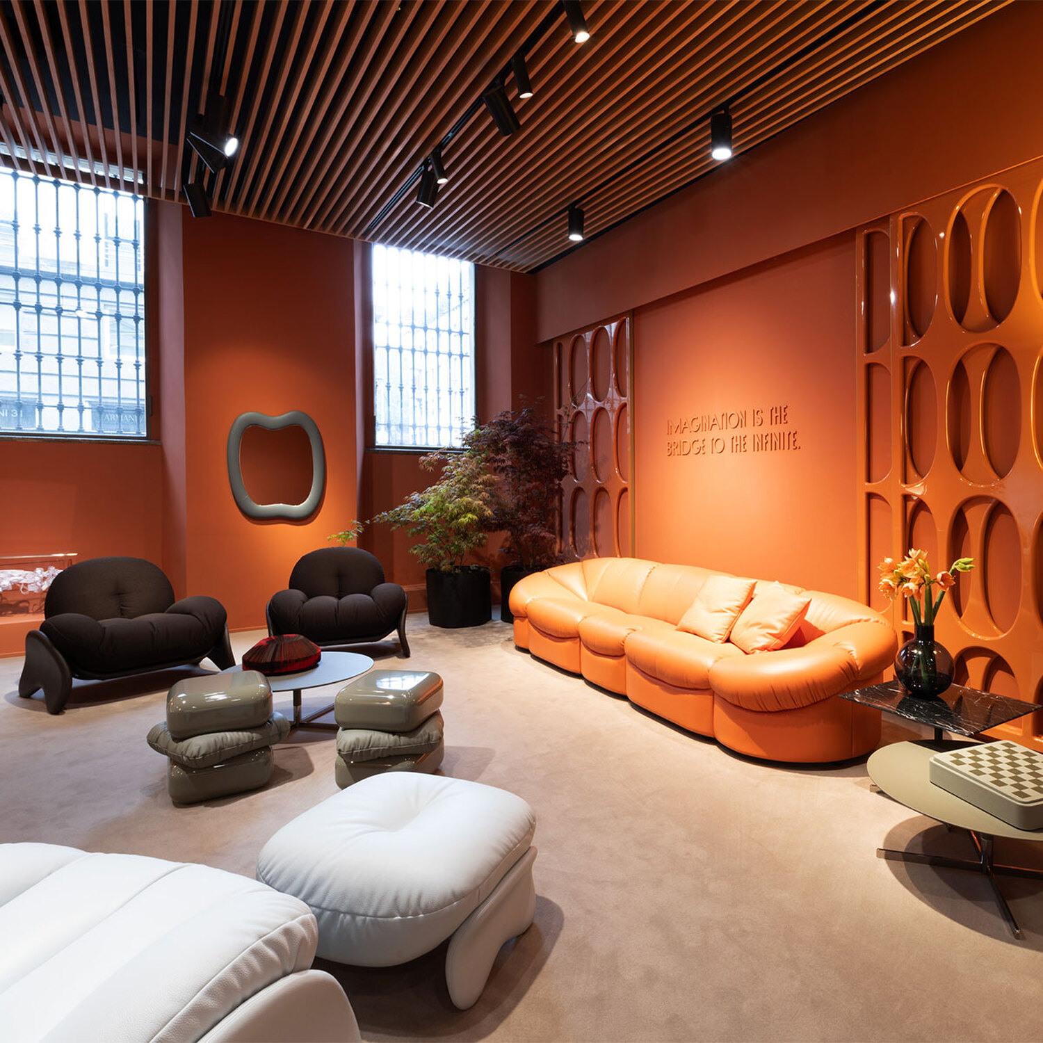 squash showroom squash showroom