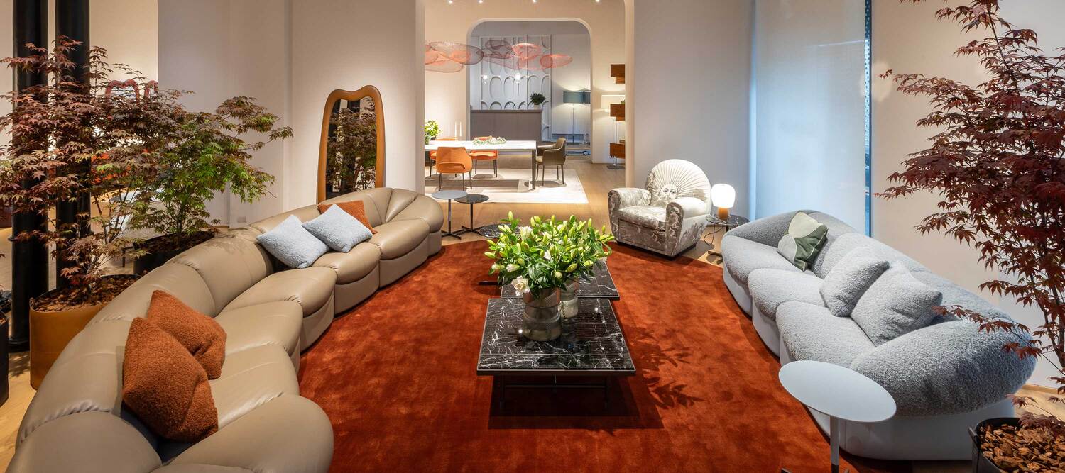 virtual tour 2024 imagine collection v1